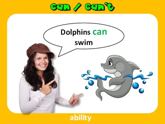 Dolphins can swim ability