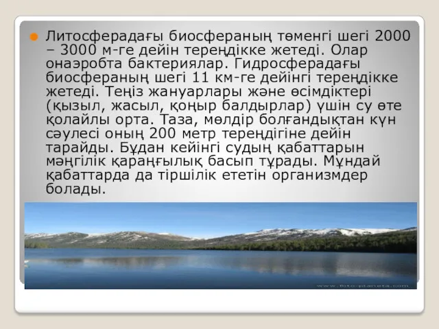 Литосферадағы биосфераның төменгі шегі 2000 – 3000 м-ге дейін тереңдікке