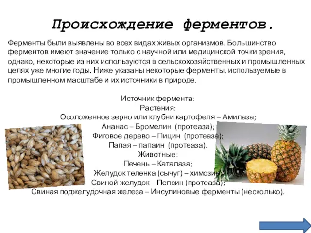 Происхождение ферментов. Ферменты были выявлены во всех видах живых организмов.