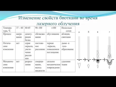 Изменение свойств биоткани во время лазерного облучения