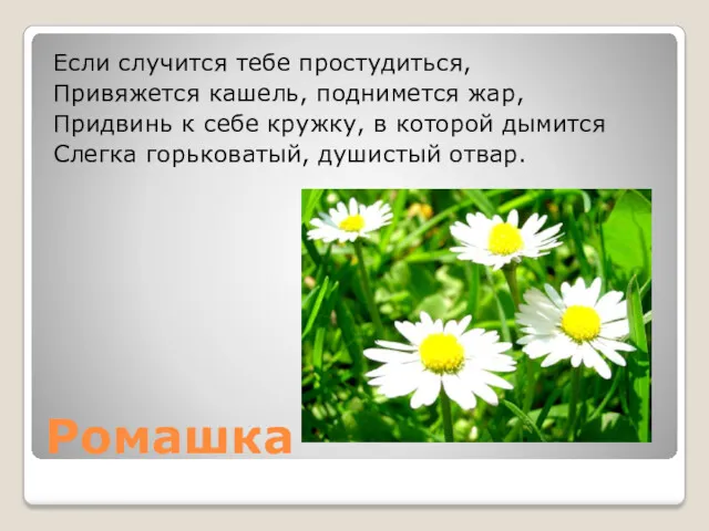 Ромашка Если случится тебе простудиться, Привяжется кашель, поднимется жар, Придвинь