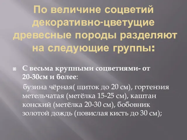 По величине соцветий декоративно-цветущие древесные породы разделяют на следующие группы: