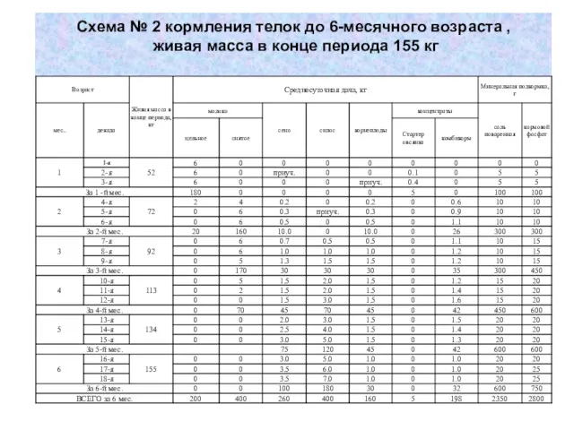 Схема № 2 кормления телок до 6-месячного возраста , живая масса в конце периода 155 кг