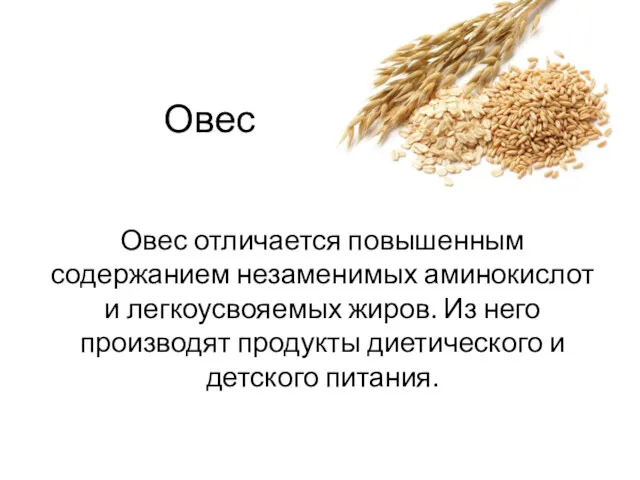 Овес Овес отличается повышенным содержанием незаменимых аминокислот и легкоусвояемых жиров.