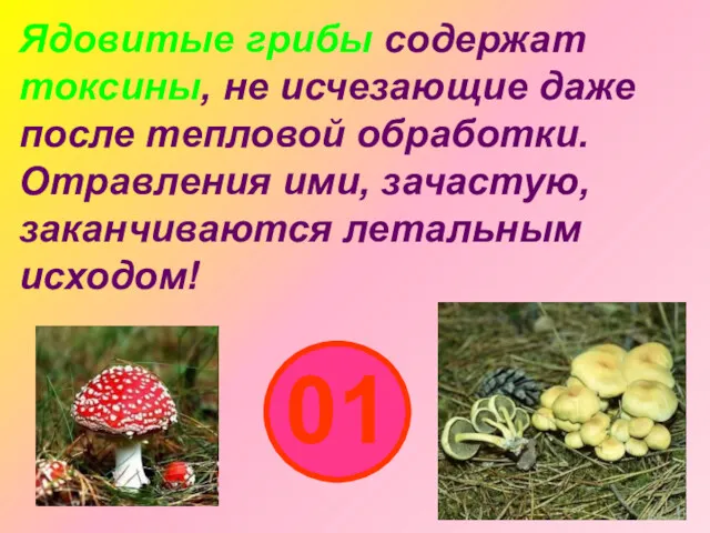 Ядовитые грибы содержат токсины, не исчезающие даже после тепловой обработки.