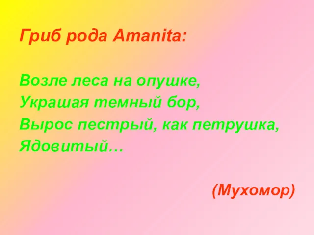 Гриб рода Amanita: Возле леса на опушке, Украшая темный бор, Вырос пестрый, как петрушка, Ядовитый… (Мухомор)