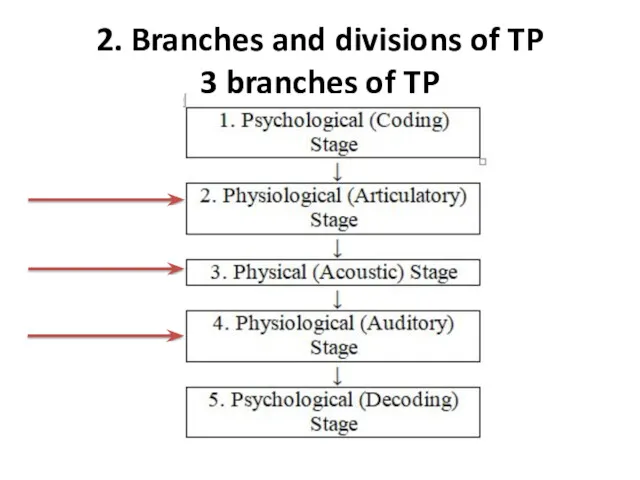 2. Branches and divisions of TP 3 branches of TP