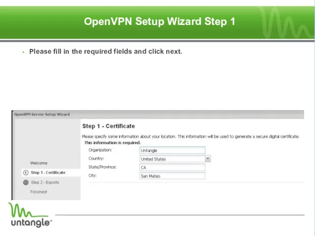 ‏ OpenVPN Setup Wizard Step 1 Please fill in the required fields and click next.