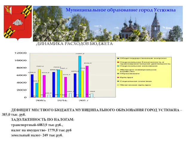 Муниципальное образование город Устюжна ДИНАМИКА РАСХОДОВ БЮДЖЕТА ДЕФИЦИТ МЕСТНОГО БЮДЖЕТА