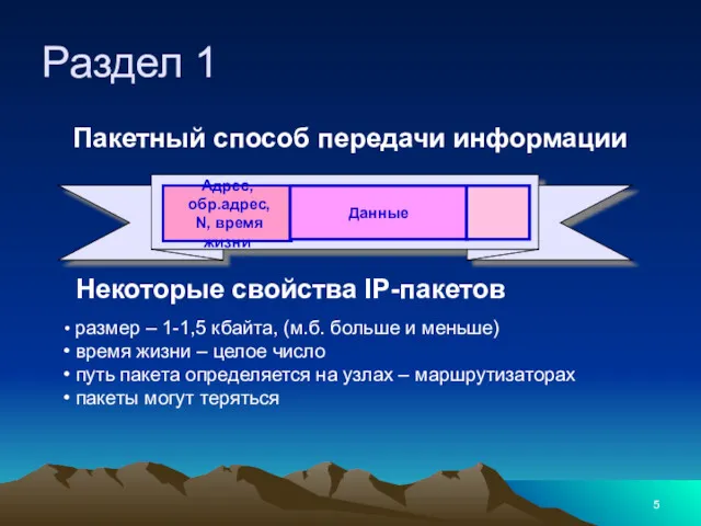 Раздел 1 Некоторые свойства IP-пакетов размер – 1-1,5 кбайта, (м.б.