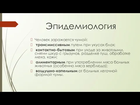 Эпидемиология Человек заражается чумой: трансмиссивным путем при укусах блох; контактно-бытовым