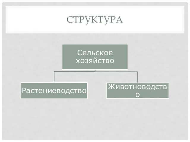 СТРУКТУРА