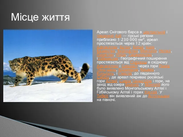 Ареал Снігового барса в центральній і південній Азії — гірські