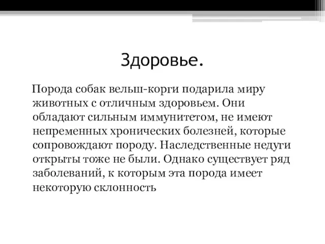 Здоровье. Порода собак вельш-корги подарила миру животных с отличным здоровьем.