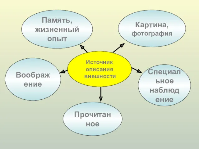 Источник описания внешности Воображение Память, жизненный опыт Картина, фотография Специальное наблюдение Прочитанное