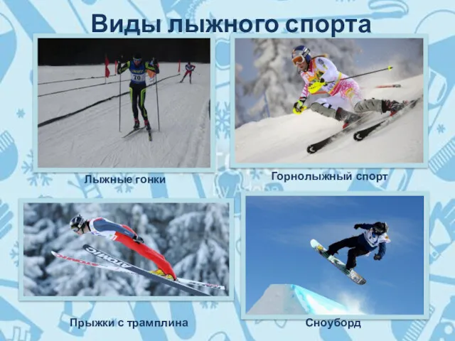 Лыжные гонки Горнолыжный спорт Прыжки с трамплина Сноуборд Виды лыжного спорта