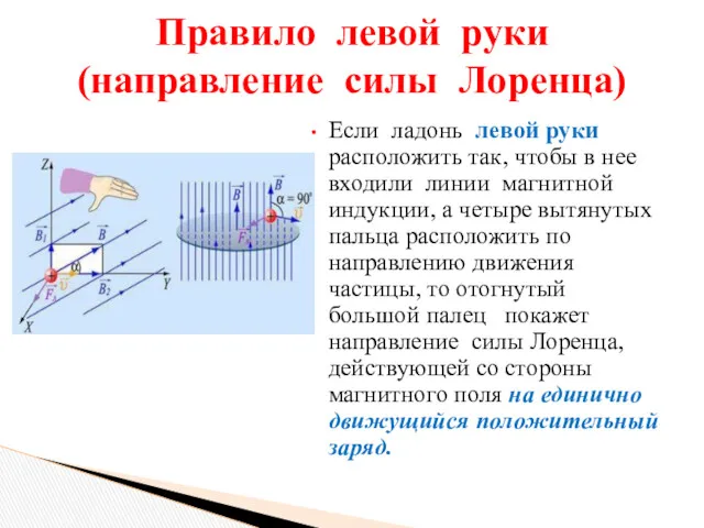 Если ладонь левой руки расположить так, чтобы в нее входили