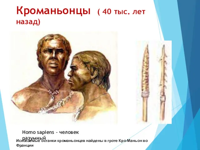 Кроманьонцы ( 40 тыс. лет назад) Homo sapiens – человек разумный Ископаемые останки