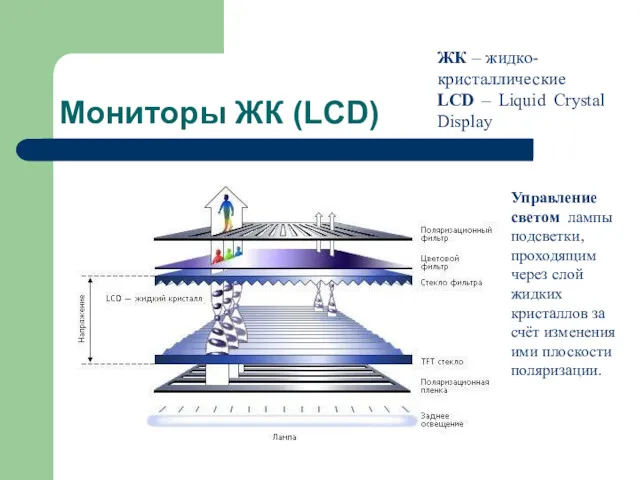 Мониторы ЖК (LCD) ЖК – жидко-кристаллические LCD – Liquid Crystal Display Управление светом