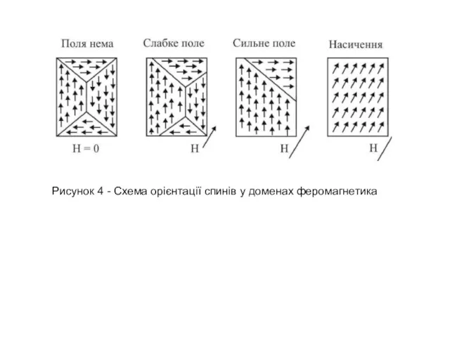 Рисунок 4 - Схема орієнтації спинів у доменах феромагнетика