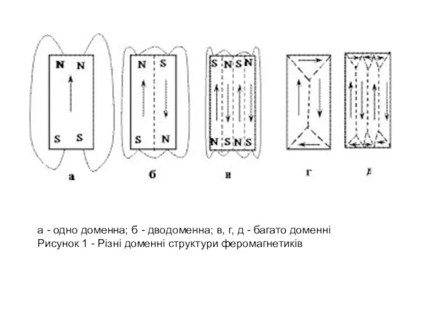 а - одно доменна; б - дводоменна; в, г, д