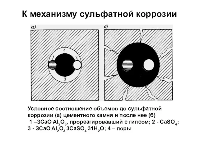 К механизму сульфатной коррозии Условное соотношение объемов до сульфатной коррозии