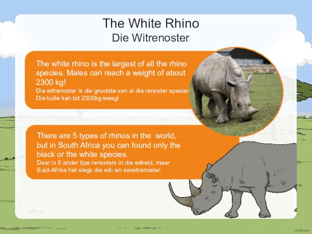 There are 5 types of rhinos in the world, but