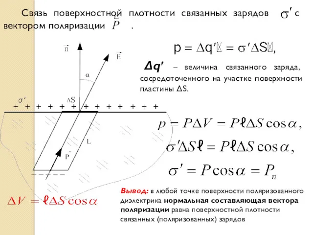 Связь поверхностной плотности связанных зарядов с вектором поляризации . Δq′