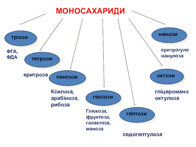 МОНОСАХАРИДИ тріози тетрози пентози гексози гептози октози нанози ФГА, ФДА