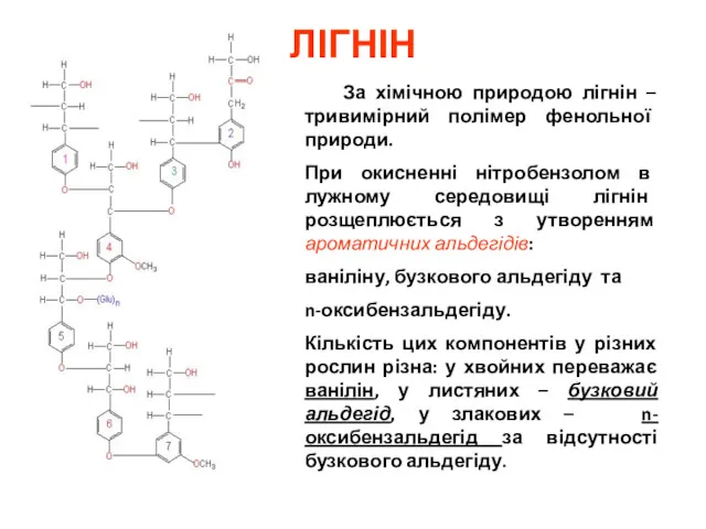 ЛІГНІН За хімічною природою лігнін – тривимірний полімер фенольної природи.