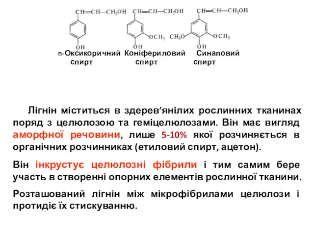 Лігнін міститься в здерев’янілих рослинних тканинах поряд з целюлозою та