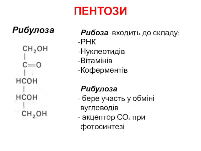 ПЕНТОЗИ Рибулоза Рибоза входить до складу: РНК Нуклеотидів Вітамінів Коферментів