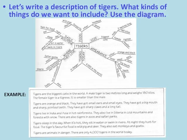 Let’s write a description of tigers. What kinds of things