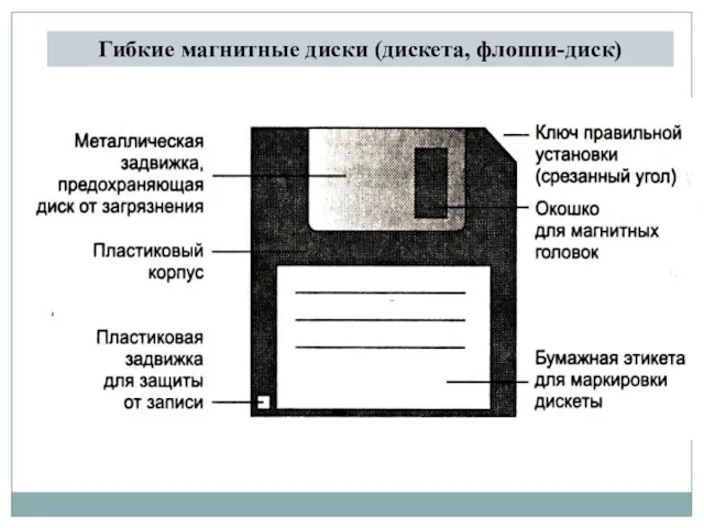 Гибкие магнитные диски (дискета, флоппи-диск)