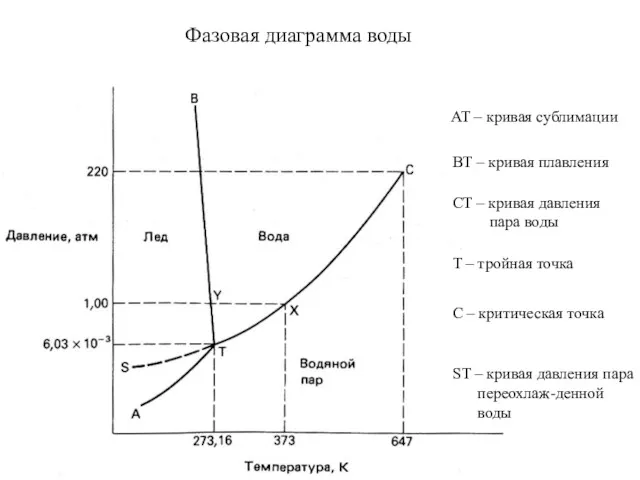 Фазовая диаграмма воды Т – тройная точка С – критическая