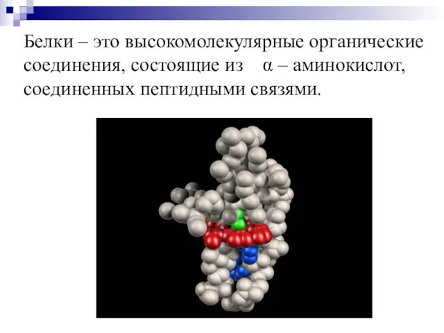 Белки – это высокомолекулярные органические соединения, состоящие из α – аминокислот, соединенных пептидными связями.