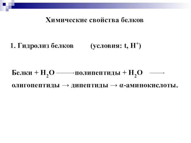 Химические свойства белков 1. Гидролиз белков (условия: t, Н+) Белки