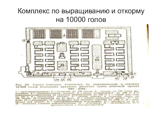 Комплекс по выращиванию и откорму на 10000 голов