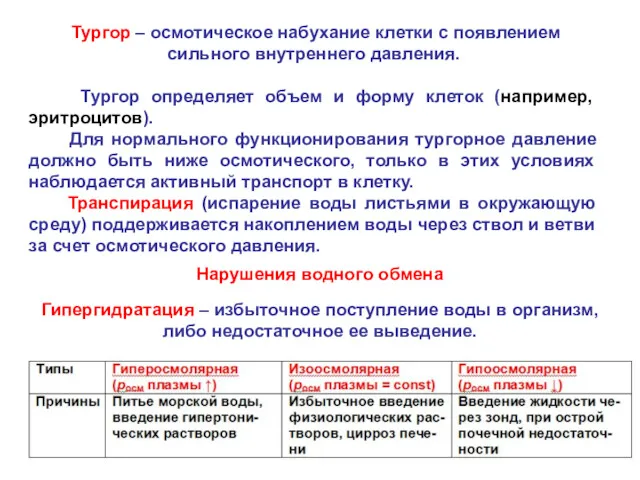 Тургор – осмотическое набухание клетки с появлением сильного внутреннего давления.