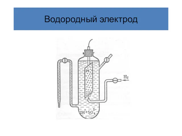 Водородный электрод