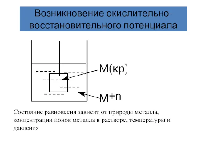 Возникновение окислительно-восстановительного потенциала Состояние равновесия зависит от природы металла, концентрации