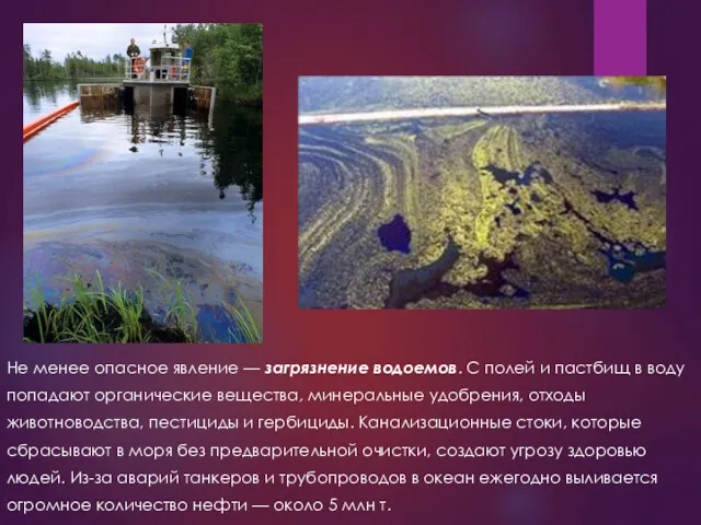 Не менее опасное явление — загрязнение водоемов. С полей и