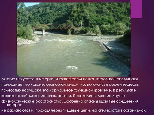 Многие искусственные органические соединения настолько напоминают природные, что усваиваются организмом,