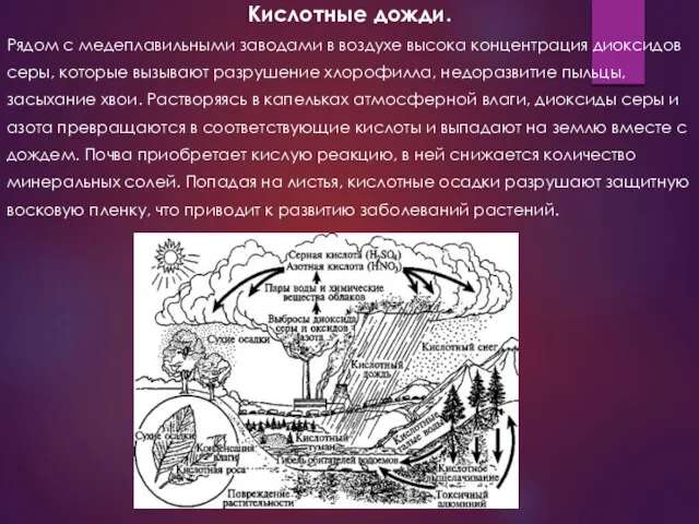 Кислотные дожди. Рядом с медеплавильными заводами в воздухе высока концентрация