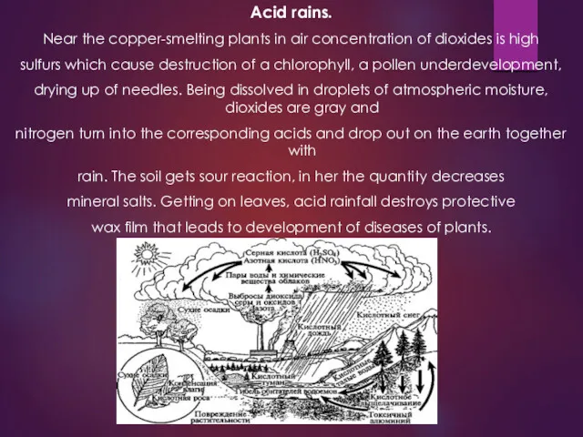 Acid rains. Near the copper-smelting plants in air concentration of