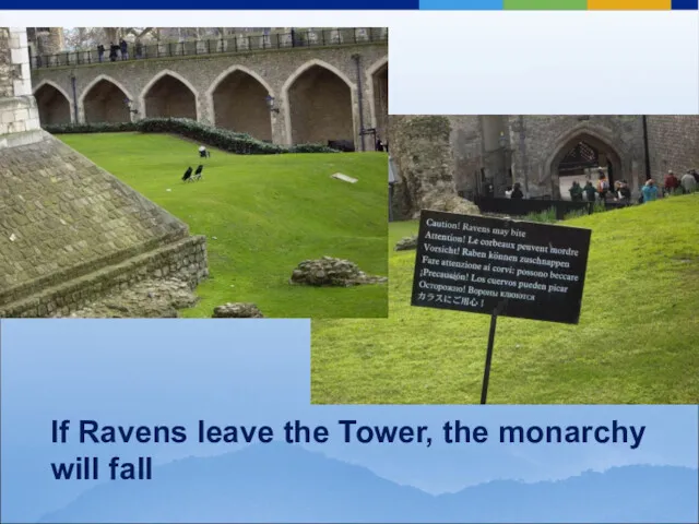 If Ravens leave the Tower, the monarchy will fall