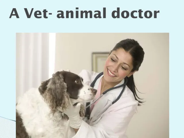 A Vet- animal doctor