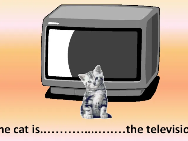 in front of The cat is..………....….…the television