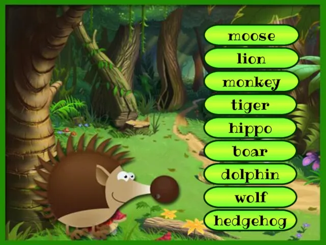 moose lion monkey tiger dolphin boar wolf hippo hedgehog