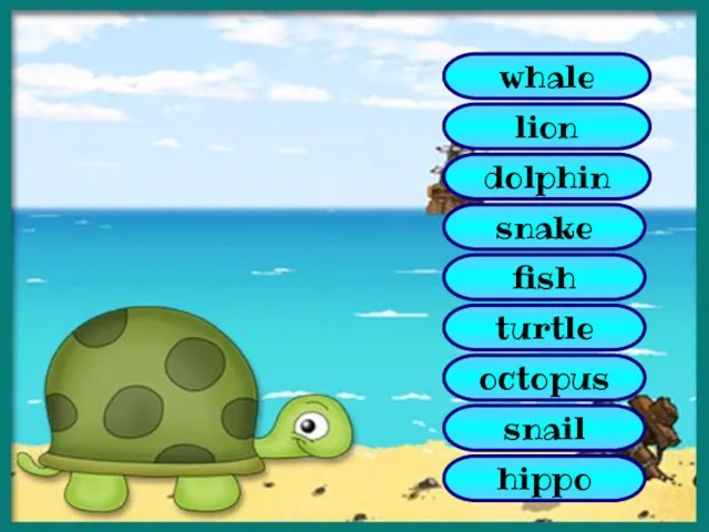 whale lion dolphin snake octopus fish snail hippo turtle